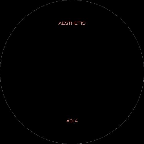 VA - Aesthetic 14 (2021) (MP3)