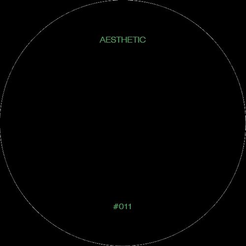 VA - Adam Nahalewicz - Aesthetic 11 (2021) (MP3)