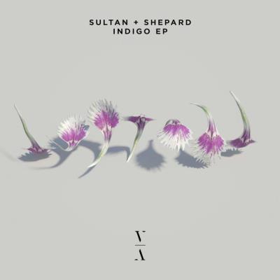 VA - Sultan & Shepard - Indigo EP  WEB (2021) (MP3)