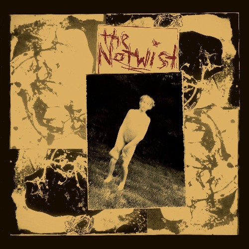 VA - The Notwist - The Notwist (2021) (MP3)