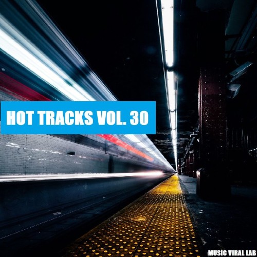 Hot Tracks Vol. 30 (2021)