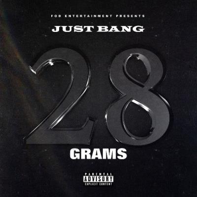VA - Just Bang - 28 Grams (2021) (MP3)
