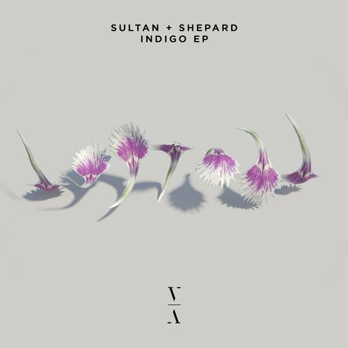 VA - Sultan & Shepard - Indigo Ep (2021) (MP3)