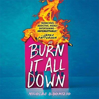 Burn It All Down (Audiobook)
