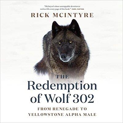 The Redemption of Wolf 302 From Renegade to Yellowstone Alpha Male (Audiobook)