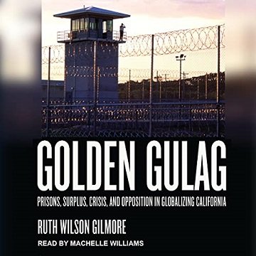 Golden Gulag Prisons, Surplus, Crisis, and Opposition in Globalizing California [Audiobook]