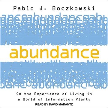 Abundance On the Experience of Living in a World of Information Plenty [Audiobook]