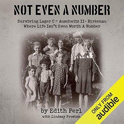 Not Even a Number Surviving Lager C - Auschwitz II - Birkenau (Audiobook)