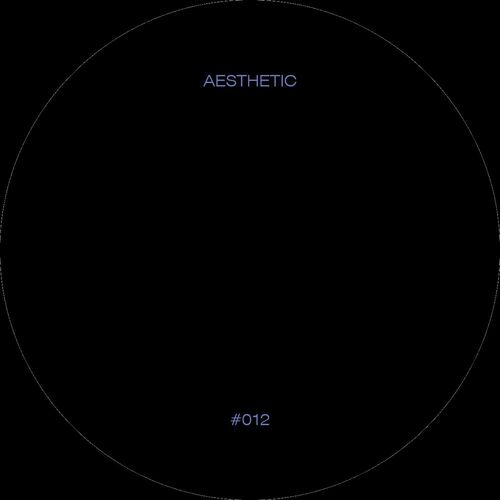 VA - Relic - Aesthetic 12 (2021) (MP3)