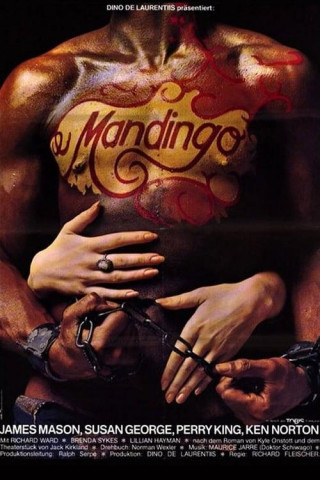 Mandingo 1975 German 720p BluRay x264-SpiCy