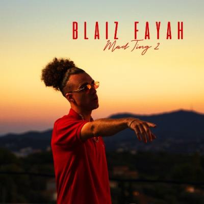 VA - Blaiz Fayah - Mad Ting 2 (2021) (MP3)