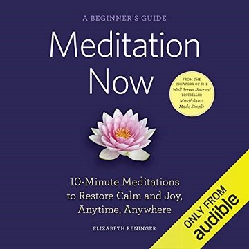 Meditation Now A Beginner's Guide 10-Minute Meditations to Restore Calm and Joy Anytime, Anywhere [Audiobook]