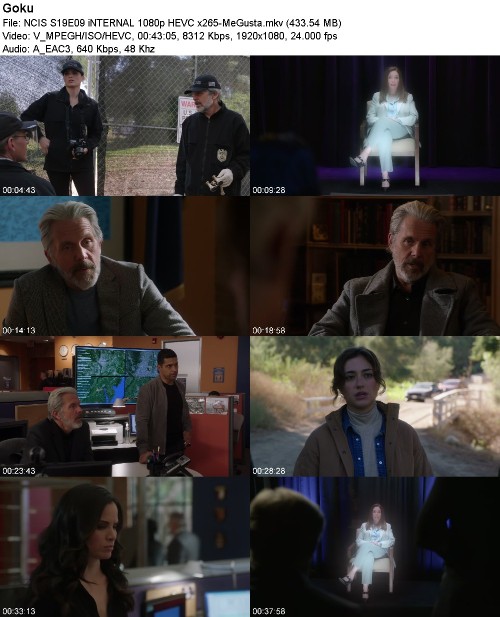 NCIS S19E09 iNTERNAL 1080p HEVC x265-MeGusta