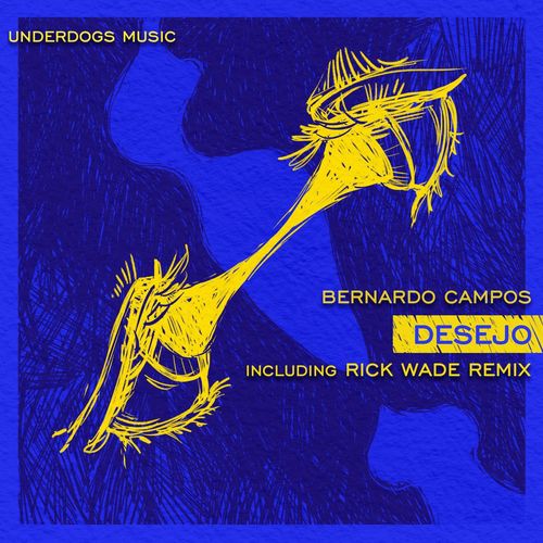 VA - Bernardo Campos - Desejo (2021) (MP3)