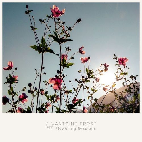 VA | Antoine Prost - Flowering Sessions (2021) MP3