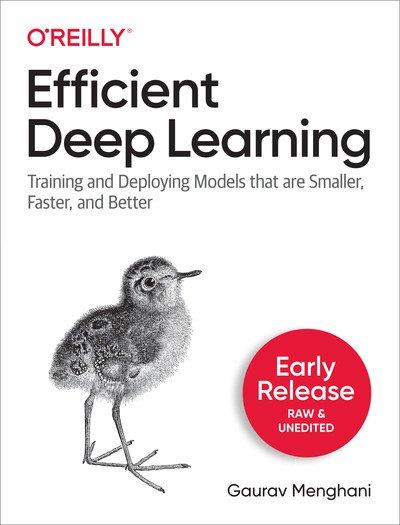 Efficient Deep Learning