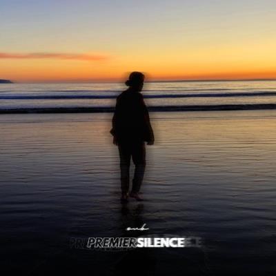 VA - Oub - Premier Silence (2021) (MP3)