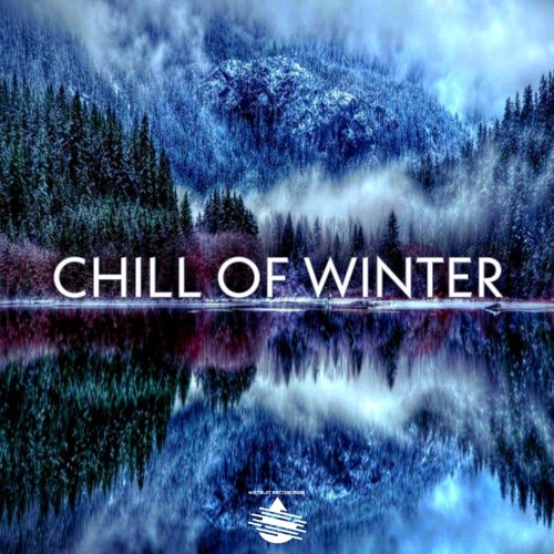 Wetsuit Recordings - Chill Of Winter (2021)