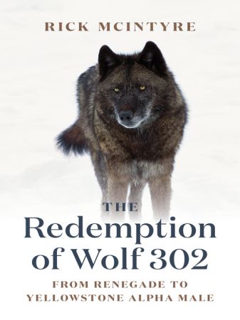 The Redemption of Wolf 302 From Renegade to Yellowstone Alpha Male (True EPUB)