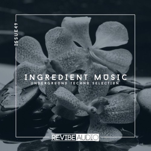 VA - Ingredient Music, Vol. 49 (2021) (MP3)