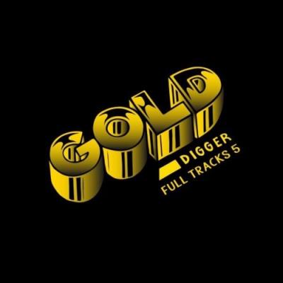VA - Gold Digger Full Tracks, Vol. 5 (2021) (MP3)