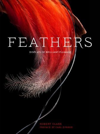 Feathers Displays of Brilliant Plumage (True EPUB)
