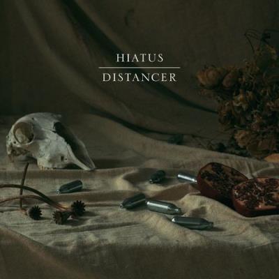 VA - Hiatus - Distancer (2021) (MP3)