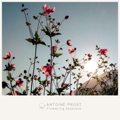 VA - Antoine Prost - Flowering Sessions (2021) (MP3)
