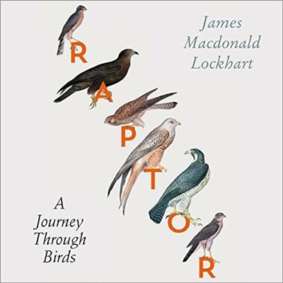Raptor: A Journey Through Birds [Audiobook]