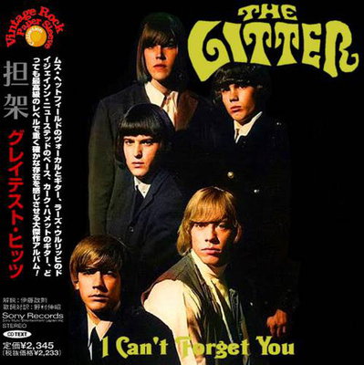 The Litter - I Can't Forget You (Compilation) 2021