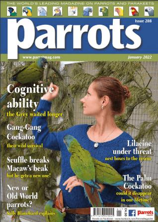 Parrots magazine   Issue 288, January 2022