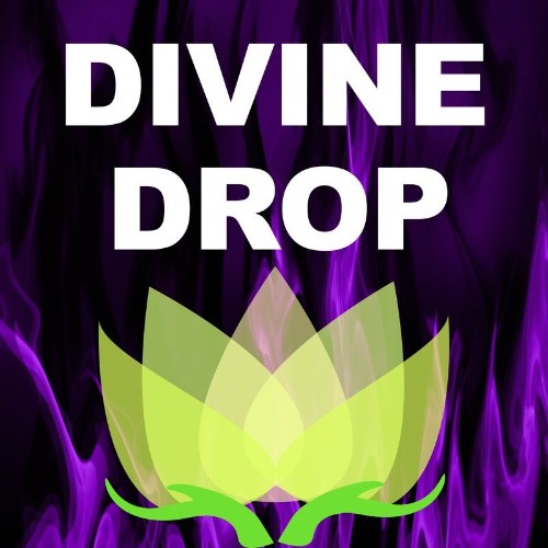 VA - Divine Drop - Minimum Factor (2021) (MP3)