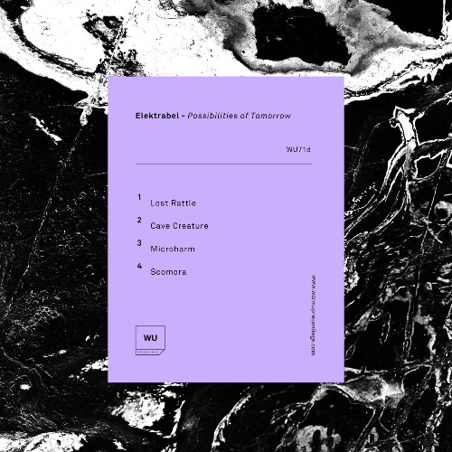 Elektrabel - Possibilities Of Tomorrow EP (2021)