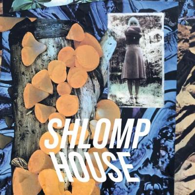 VA - Shlomp House (838046) (2021) (MP3)