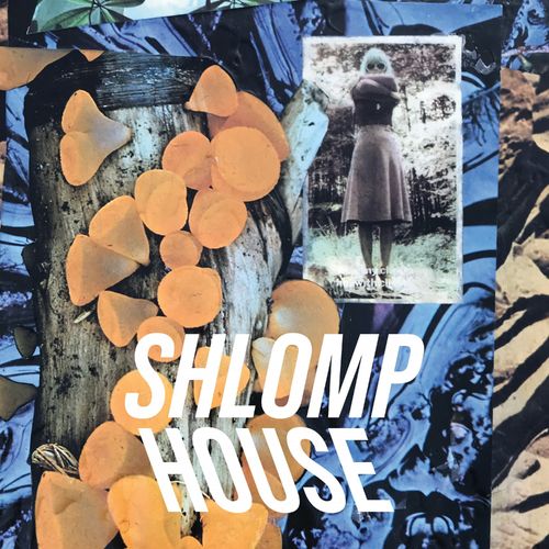 Shlomp House (838046) (2021)