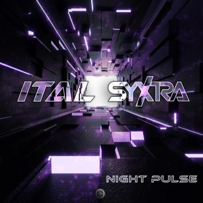 VA - Ital Syxtra - Night Pulse (2021) (MP3)