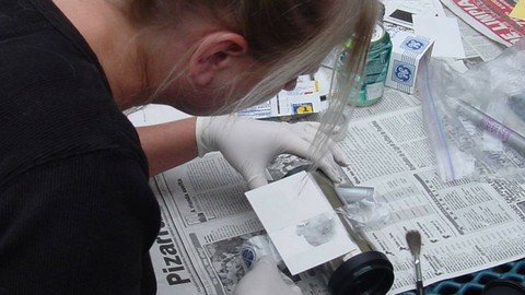 10 Ways to Get The Forensic Job You Want - Student Edition