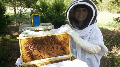 Beekeeping for Beginners - How to Be a Successful Beekeeper!