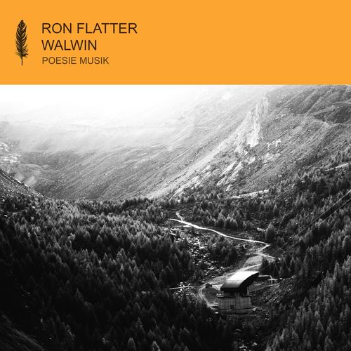 VA - Ron Flatter - Walwin (2021) (MP3)