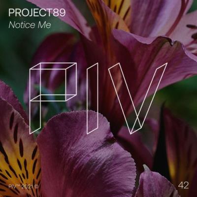 VA - Project89 - Notice Me (2021) (MP3)