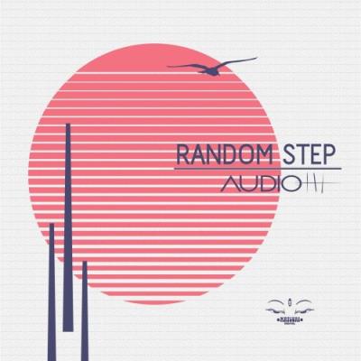 VA - Audio In - Random Step (2021) (MP3)