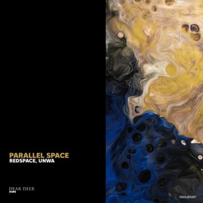 VA - Redspace & UNWA - Parallel Space (2021) (MP3)