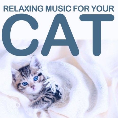 VA - Relaxing Music for Your Cat (2021) (MP3)