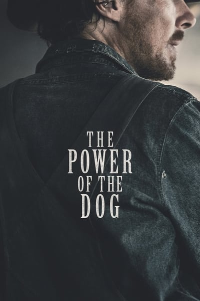 The Power of the Dog (2021) 1080p NF WEB-DL x265 HEVC 10bit AC3 Silence