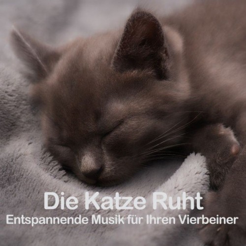 VA - Die Katze Ruht (Entspannende Musik für Ihren Vierbeiner) (2021) (MP3)