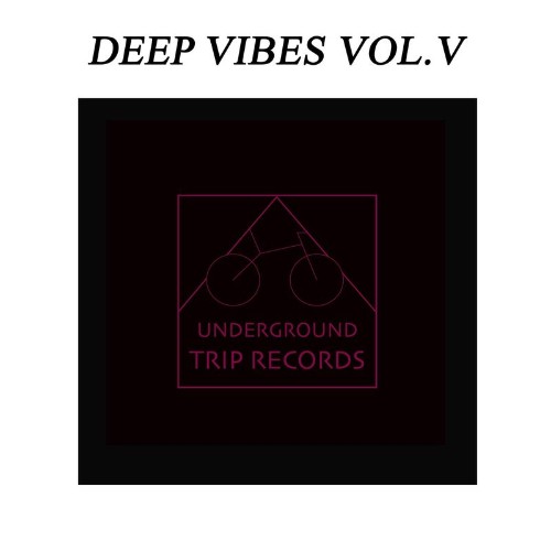 VA - Deep Vibes Vol. V (2021) (MP3)