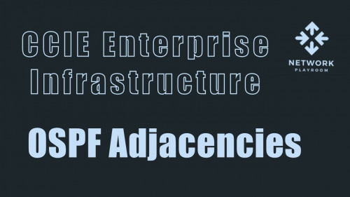 CCIE Enterprise Infrastructure - OSPF | Udemy  