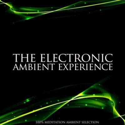 VA - The Electronic Ambient Experience (100% Meditation Ambient Selection) (2021) (MP3)