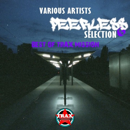 VA - Peerless Selection, Vol. 6 (2021) (MP3)