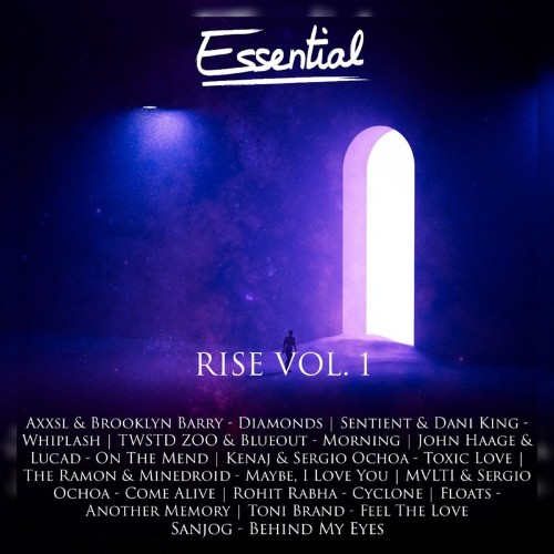 VA - Essential Rise, Vol. 1 (2021) (MP3)